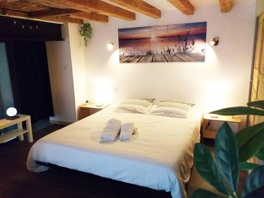 Апартаменти Le Paisible - Gare - Duplex - Garage Prive - Netflix Гренобль Екстер'єр фото